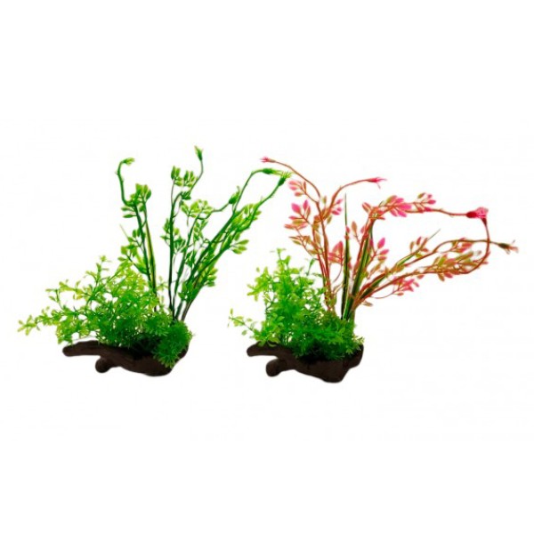 ΔΙΑΚΟΣΜΗΤΙΚΟ ΦΥΤΟ ΕΝΥΔΡΕΙΟΥ 12Χ24CM